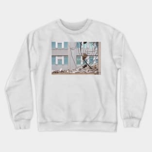 Demolition Crewneck Sweatshirt